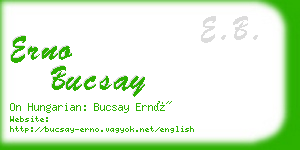 erno bucsay business card